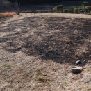 第2飼育場計画スタート