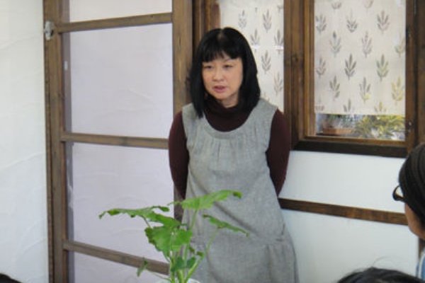 Sandavinci School Of Art Amp Design グリーンアート