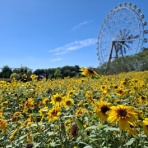 東武動物公園の花と自然（公式ブログ）