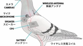 【米国】「本物の鳥はすでに政府の手で殲滅されており、国民監視用の鳥型ドローンに置き換えられた」という陰謀論が人気沸騰中