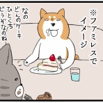 柴犬どんぐり三毛猫たんぽぽ