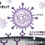 『【悲報】喫煙者、18%にまで減少！新型コロナで症状悪化の事実が露呈し、さらにタバコ離れは進む。』の画像