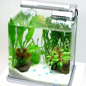 石組みレイアウト 石組みレイアウトってどのように組み立ててる 使える接着剤は めだか屋愛徳 あいなる アクアリウム情報 アンテナサイト