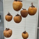 秋深し・・・・・