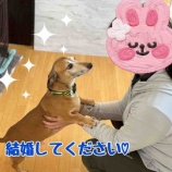 『新メンバーさん♡』の画像