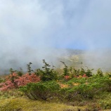 『紅葉はじめ』の画像