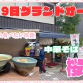 【宝塚　グルメ】川面の　中華そば　桜木！背脂中華そば！【関西　兵庫】