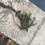 『10月24日 琵琶湖』の画像