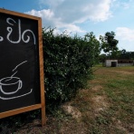 Dさんのタイ日記Ⅱ