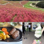 かなちゅうごはん