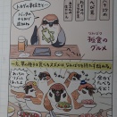 今日は鳥見休みで...