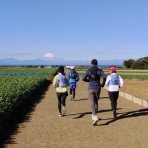 気楽に行こうよ ♪