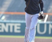 【悲報】阪神マルテ、シート打撃でも無安打で崖っぷち…矢野監督「ナバーロにも充分チャンスはある」