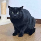 憧れのお目目…✨️✨️