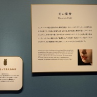 14年ぶりの感動！大阪中之島美術館「フェルメール《真珠の耳飾りの少女》展」に見るオランダ絵画の至宝