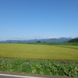 『北海道ツーリング2024 13日目』の画像