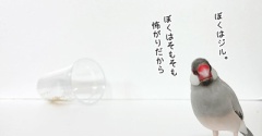 初めてのものに立ち向かう勇気