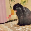 こんぶには良かった。