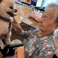 わんわん。