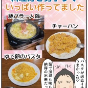 一泊二日のプチ旅行③ 男子二人の留守番ごはん
