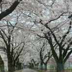 いけだねっとNO２