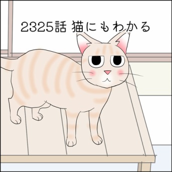 あんこ＆麦2325 猫にもわかる