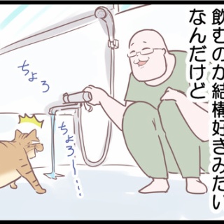 ネコ飼いの飼いネコまんが ねこボイ