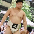 東日本学生相撲新人大会結果報告