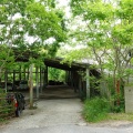 兵庫／HIRAMATSUGUMI（ヒラマツグミ）兵庫県洲本市
