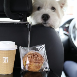 井村屋のあずきバー たかシェフのおうちごはん と 白い犬 と チワワ Powered By ライブドアブログ