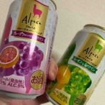 Blondie通信