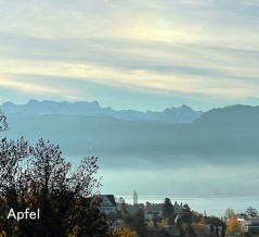 我が家で開いた夕食会