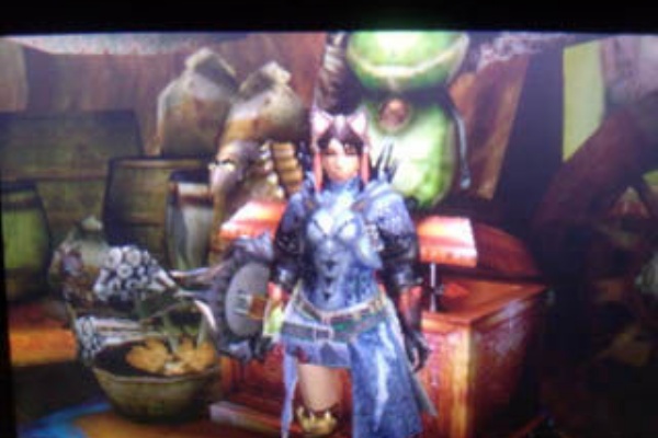 ｇ級クエスト攻略準備と懸念事項 雨天決行 In The New World