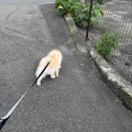 ミルクちゃん♪
