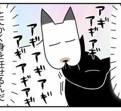 猫の名はポル㉚−3