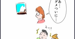 カブトムシのオスがいなくなった後のメス