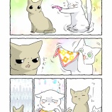 おねえちゃん大好きねこちゃんのバブーシュカ