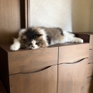 そそられないんだなぁ