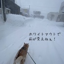 氷割りと爪切り