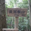 埼玉県飯能市…愛宕山・水晶山・深沢山東峰・深沢山西峰・五常山・長尾根山