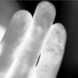 『身近な生体（サーモマン）と植物の赤外線カメラ画像』の画像