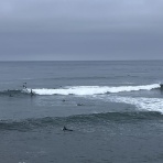 サンディエゴライフ　今昔