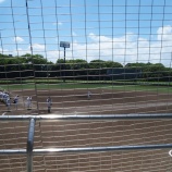 『ヒーローがいなくなった　2016年、野球は繁栄しているのか　｜野球があぶない！』の画像