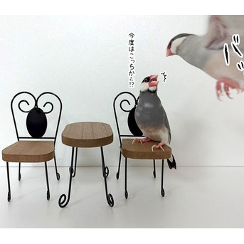 ふたりの体重がまさかの…