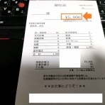 mobile-ThinkPad fan