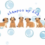 『Bathe my dog(犬をお風呂に入れる)』の画像