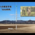 学びの楽しさ「日本現代詩歌文学館 短歌実作講座」