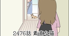 あんこ＆麦2476 素直な猫