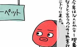 過去イチ！ニトリの防寒グッズ