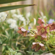 自分との約束を守るために